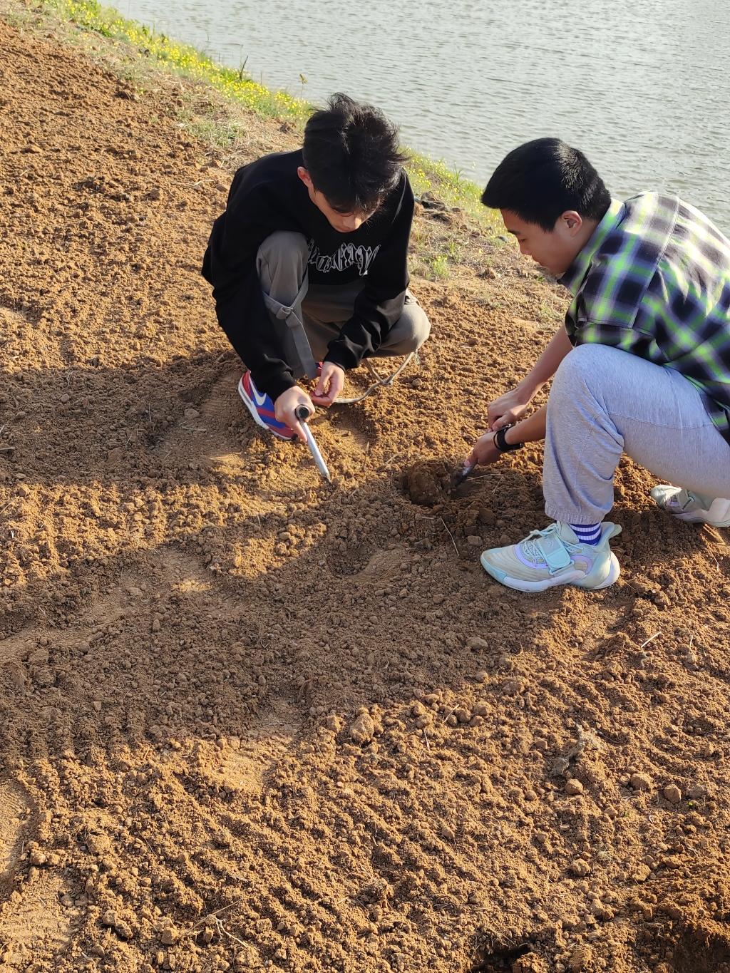 谈球吧体育官网