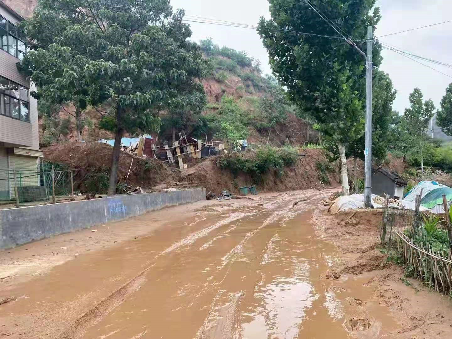 谈球吧体育官网